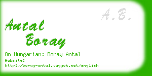 antal boray business card